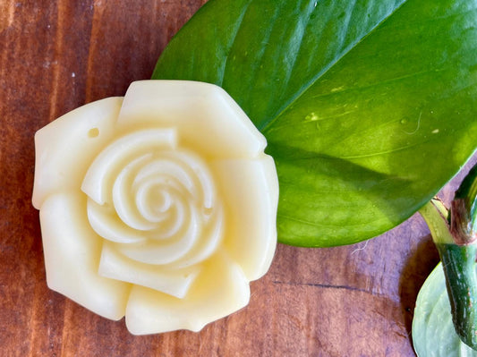 Acondicionador Sólido Premium