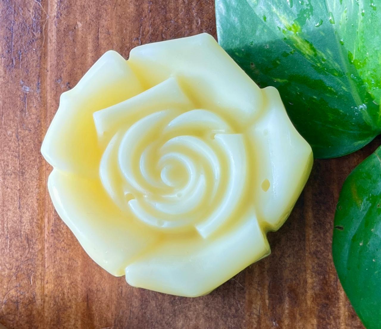 Acondicionador Sólido Premium