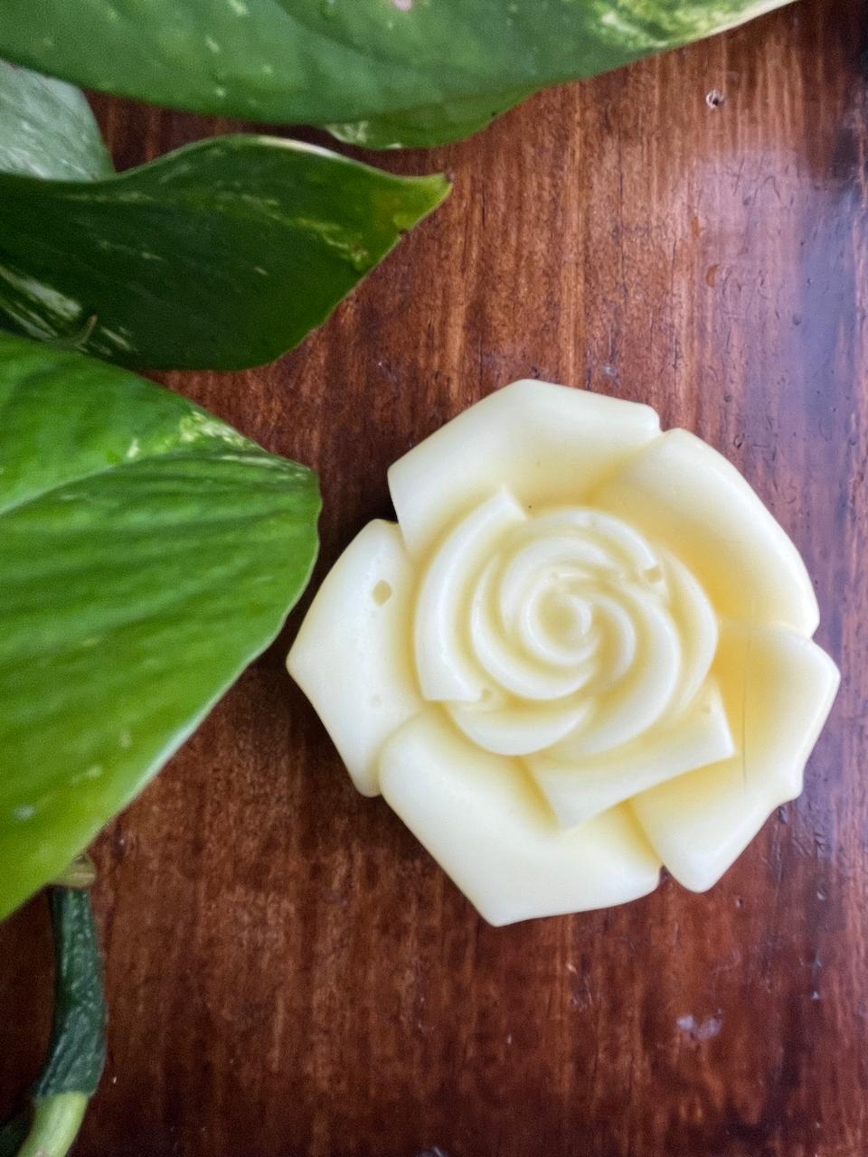 Acondicionador Sólido Premium